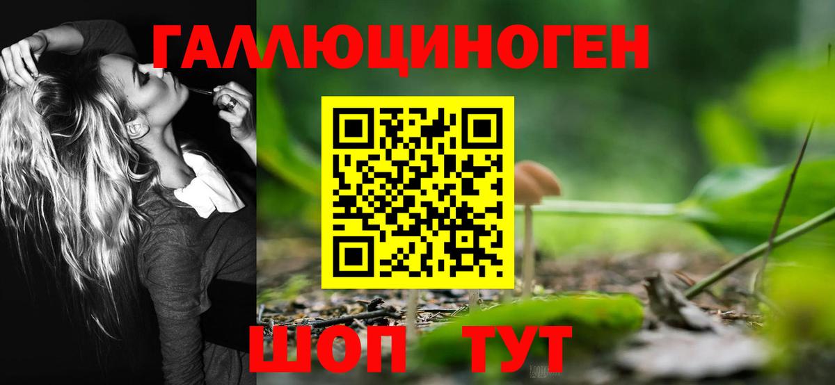 Галлюциногенные грибы мухоморы Россия