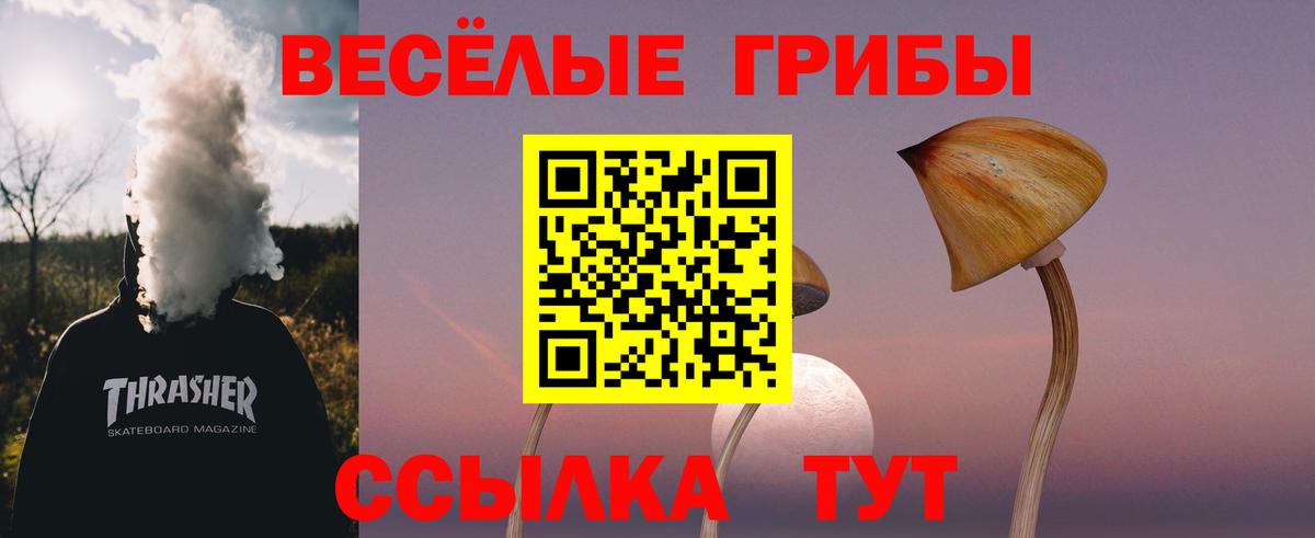 Россия  Псилоцибиновые грибы GOLDEN TEACHER  Галлюциногенные грибы ЛСД  Вход с VPN 